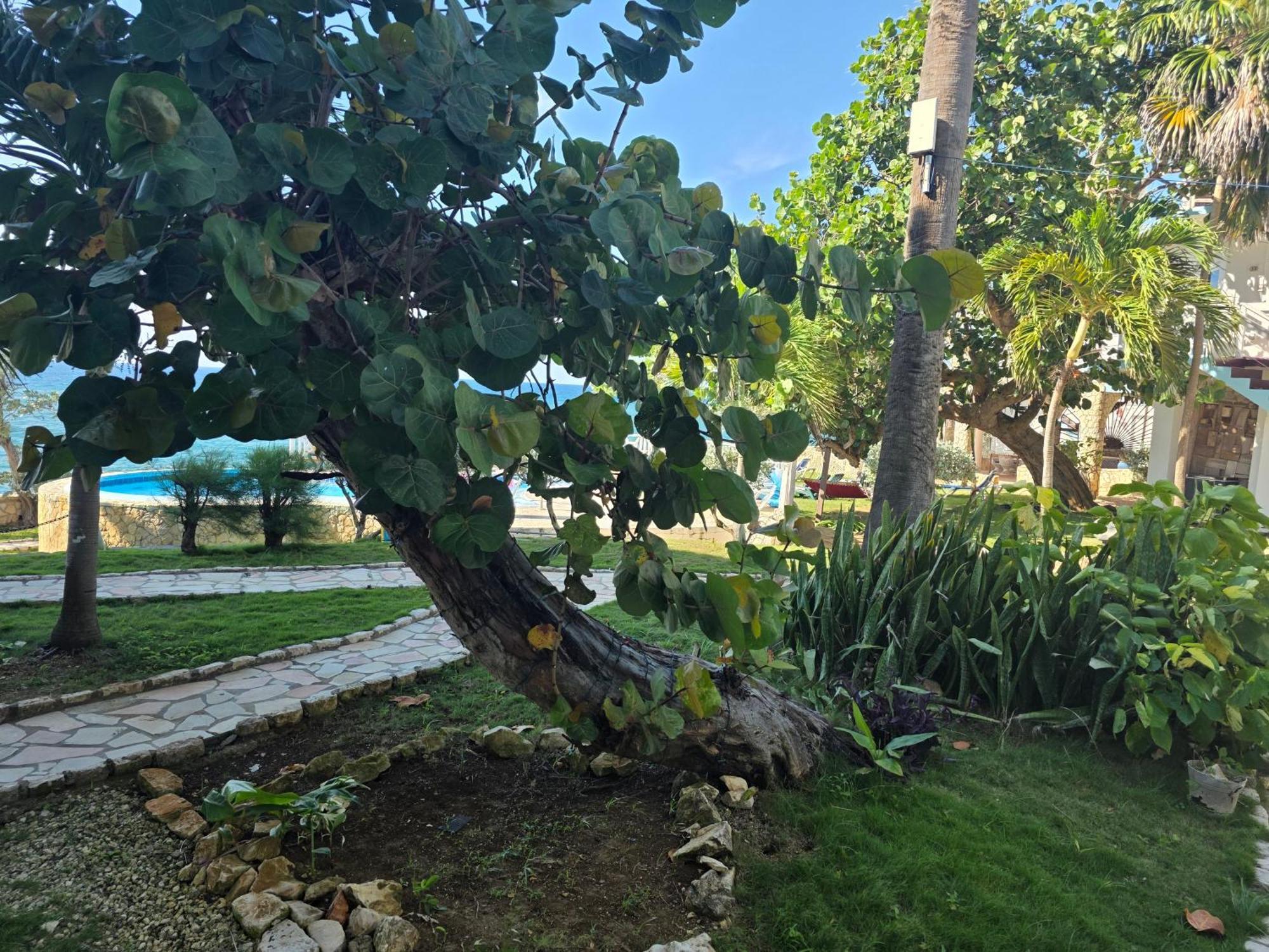 Home Sweet Home Resort Негрил Экстерьер фото